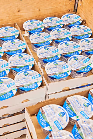 cottage cheese